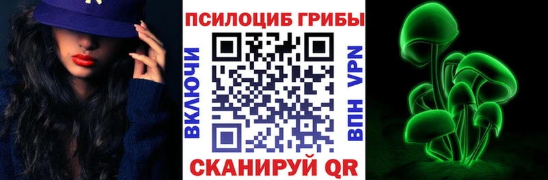Купить закладки  Опочка  Галлюциногенные грибы Cubensis 